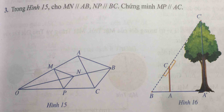 Trong Hình 15, cho MNparallel AB,NPparallel BC * Chứng minh MPparallel AC.
Hình 15