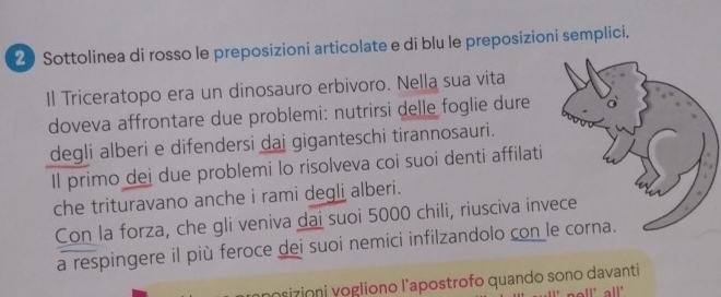 Sottolinea di rosso le preposizioni articolate e di blu le preposizioni semplici. 
Il Triceratopo era un dinosauro erbivoro. Nella sua vita 
doveva affrontare due problemi: nutrirsi delle foglie dure 
degli alberi e difendersi dai giganteschi tirannosauri. 
Il primo dei due problemi lo risolveva coi suoi denti affilati 
che trituravano anche i rami degli alberi. 
Con la forza, che gli veniva dai suoi 5000 chili, riusciva inv 
a respingere il più feroce dei suoi nemici infilzandolo con l 
nosizioni vogliono l'apostrofo quando sono davanti 
all' all'