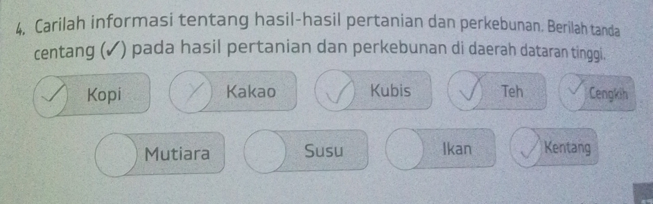 4, Carilah informasi tentang hasil-hasil pertanian dan perkebunan. Berilah tanda
centang (✓) pada hasil pertanian dan perkebunan di daerah dataran tinggi.
Kopi Kakao Kubis Teh Cengkih
Mutiara Susu Ikan Kentang