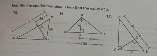 Identify the similar triangles. Then find the value of x.