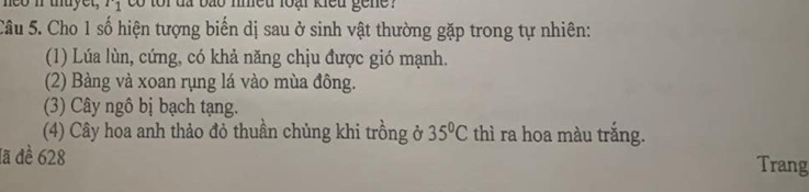 neo i thuyet, r_1 co toi đã bão nmeu loại kiều gene ? 
Câu 5. Cho 1 số hiện tượng biển dị sau ở sinh vật thường gặp trong tự nhiên: 
(1) Lúa lùn, cứng, có khả năng chịu được gió mạnh. 
(2) Bàng và xoan rụng lá vào mùa đông. 
(3) Cây ngô bị bạch tạng. 
(4) Cây hoa anh thảo đỏ thuần chủng khi trồng ở 35°C thì ra hoa màu trắng. 
lã dề 628 Trang