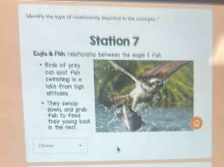 Identify the type of relationship depicted in the example. 
Station 7 
Eagle & Fish: relationship between the eagle $ fish 
Birds of prey 
oan spot fish 
swimming in a 
lake from high 
altitudes. 
They swoop 
down, and grab 
fish to feed 
their young bac 
in the nest. 
Choose