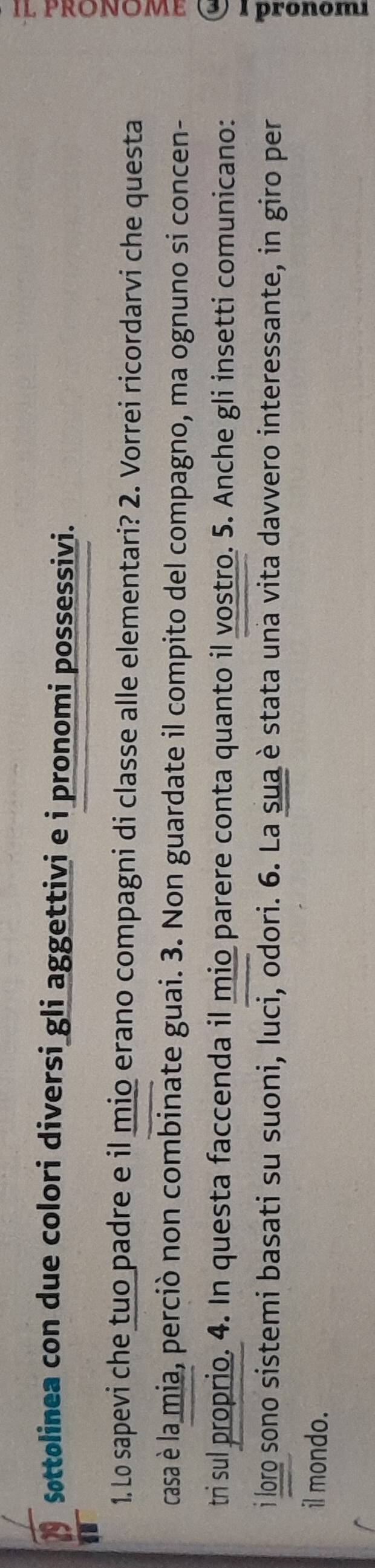 Søttolinea con due colori diversi gli aggettivi e i pronomi possessivi. 
1. Lo sapevi che tuo padre e il mio erano compagni di classe alle elementari? 2. Vorrei ricordarvi che questa 
casa è la mia, perciò non combinate guai. 3. Non guardate il compito del compagno, ma ognuno si concen- 
tri sul proprio. 4. In questa faccenda il mio parere conta quanto il vostro. 5. Anche gli insetti comunicano: 
i loro sono sistemi basati su suoni, luci, odori. 6. La sua è stata una vita davvero interessante, in giro per 
il mondo.