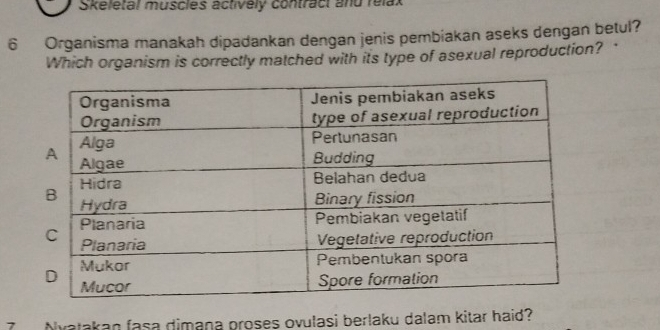 Skeletal muscles actively contract and relax 
6 Organisma manakah dipadankan dengan jenis pembiakan aseks dengan betul? 
Which organism is correctly matched with its type of asexual reproduction? 
7 Nyatakan fasa dimana proses ovulasi berlaku dalam kitar haid?