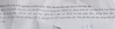 PHẢN III. Câu trắc nghiệm trả lời ngắn. Mỗi câu hồi thí sinh chỉ trá lời đáp án. 
Cầu 1. Một chiếc cần cầu, cầu tầm ki loại có trọng lực 2000(N), được thiết kế với tầm kim loại được 
ởi ba doan cap AB, AC. AD sao cho AB=AC=AD và BCD là tam giác đều, đồng thời các 
B. AC, AD tạo với mặt phẳng (BCD) một góc có 30° (xem hình vẽ). Tìm độ lớn của lực căng của mề 
y cáp.