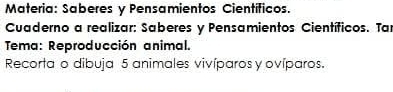 Materia: Saberes y Pensamientos Científicos. 
Cuaderno a realizar: Saberes y Pensamientos Científicos. Ta 
Tema: Reproducción animal. 
Recorta o dibuja 5 animales vivíparos y ovíparos.