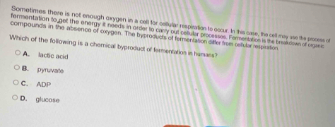 Sometimes there is not enough oxygen in a cell for cellular respiration to occur. In this case, the cell may use the process of
fermentation to get the energy it needs in order to carry out cellular processes. Fermentation is the breakdown of organic
compounds in the absence of oxygen. The byproducts of fermentation differ from cellular respiration
Which of the following is a chemical byproduct of fermentation in humans?
A. lactic acid
B. pyruvate
C. ADP
D. glucose