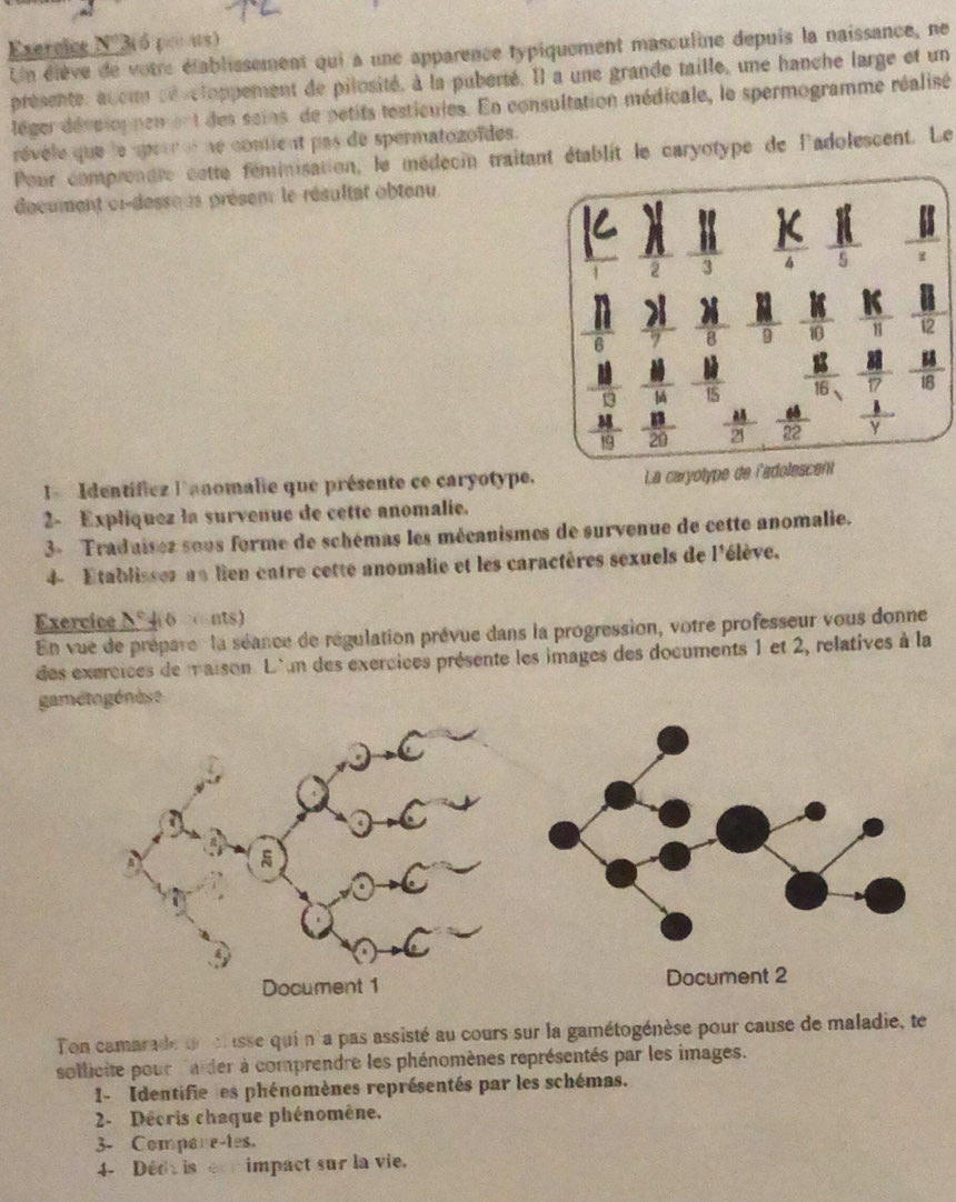 Exercice N'3 6 pors)
Un élève de votre établissement qui a une apparence typiquement masculine depuis la naissance, ne
presenté, atom dé cloppement de pilosité, à la puberté. Il a une grande mille, une hanche large et un
léger dévcioppen ent des sains de petits testicules. En consultation médicale, le spermogramme réalisé
révèle que le serr et ne contient pas de spermatozoïdes.
Pour comprendre cette féminisation, le médecin traitant établit le caryotype de l'adolescent. Le
décument ei-dessous présent le résultat obtenu
if K _ 11
2 frac 3
6
 11/6  )|  3 /8   21/9  K  K/π   12
overline 7
frac 10
_ 11
 11/13  14  M/15   13/16   88/17   58/16 
 38/19   13/20   48/21   44/22   1/y 
L  Identifiez l'anomalie que présente ce caryotype. La caryotype de l'adolescent
2- Expliquez la survenue de cette anomalie.
3- Traduisez sous forme de schémas les mécanismes de survenue de cette anomalie.
4 Etablisses an lien entre cette anomalie et les caractères sexuels de l'élève.
Exercice N 46 cnts)
En vue de préparer la séance de régulation prévue dans la progression, votre professeur vous donne
des exercices de maison. L'un des exercices présente les images des documents 1 et 2, relatives à la
gaméto génèse

Document 1
Ton camarade de cisse qui n'a pas assisté au cours sur la gamétogénèse pour cause de maladie, te
sotlicite pour larder à comprendre les phénomènes représentés par les images.
1- Identifie les phénomènes représentés par les schémas.
2- Décris chaque phénomène.
3- Compare-les.
4 Déo is e impact sur la vie.