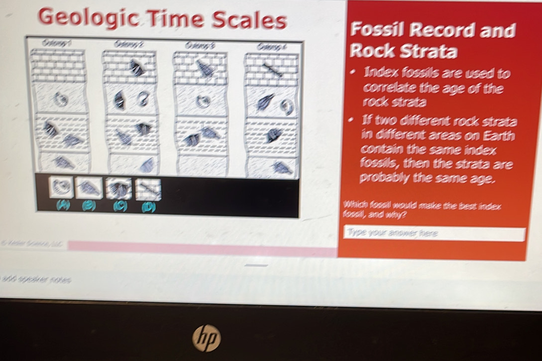 Solved: Geologic Time Scales Fossil Record and Otamate Rock Strata ...