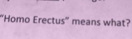 “Homo Erectus” means what?