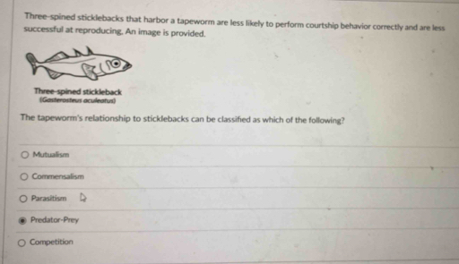 Three-spined sticklebacks that harbor a tapeworm are less likely to perform courtship behavior correctly and are less
successful at reproducing. An image is provided.
Three-spined stickleback (Gasterosteus aculeatus)
The tapeworm's relationship to sticklebacks can be classified as which of the following?
Mutualism
Commensalism
Parasitism
Predator-Prey
Competition