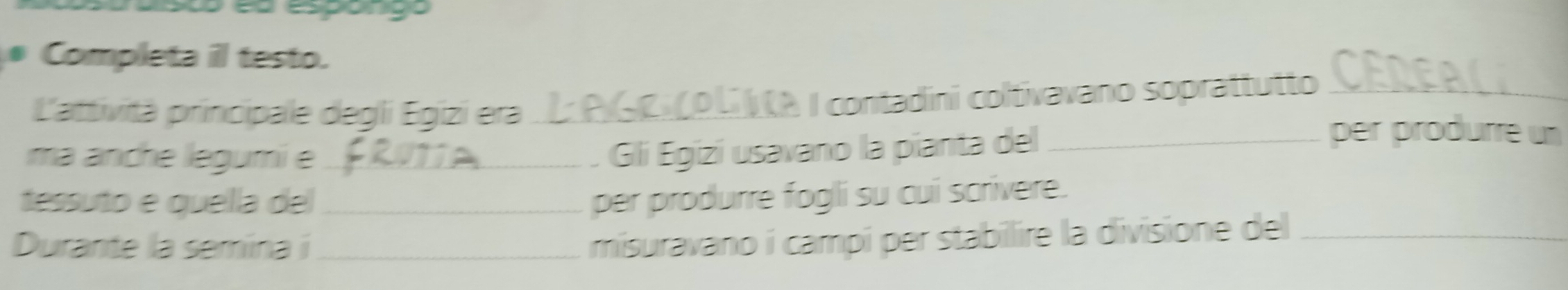 == æpenge 
Completa il testo. CEREAL 
L'attività principale degli Egizi era_ 
(A I contadini coltivavano soprattutto 
ma anche legumi é _Gli Egizi usavano la pianta del_ 
per produrre un 
tessuto e quella de _per produrre fogli su cui scrivere. 
Durante la semina i_ 
misuravano i campi per stabillire la divisione del_