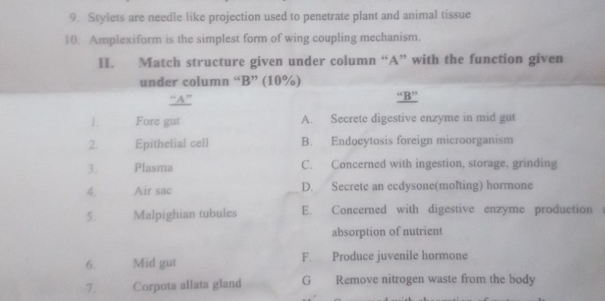 Stylets are needle like projection used to penetrate plant and animal tissue
10. Amplexiform is the simplest form of wing coupling mechanism.
I. Match structure given under column “A” with the function given
under column “B” (10%)
“A” “B”
1. Fore gut A. Secrete digestive enzyme in mid gut
2. Epithelial cell B. Endocytosis foreign microorganism
3. Plasma C. Concerned with ingestion, storage, grinding
4. Air sac D. Secrete an ecdysone(molting) hormone
5. Malpighian tubules E. Concerned with digestive enzyme production
absorption of nutrient
6. Mid gut F. Produce juvenile hormone
7. Corpota allata gland G Remove nitrogen waste from the body