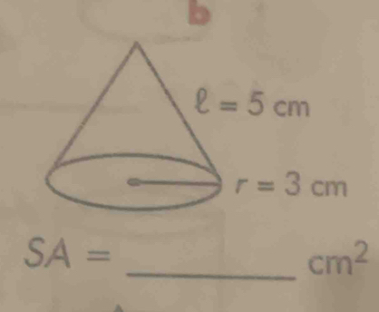 SA=
_ cm^2