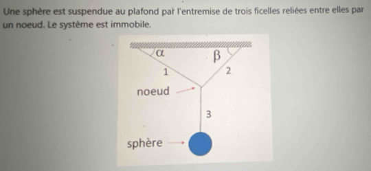 Une sphère est suspendue au plafond par l'entremise de trois ficelles reliées entre elles par 
un noeud. Le système est immobile.
α β
1 2
noeud
3
sphère ,