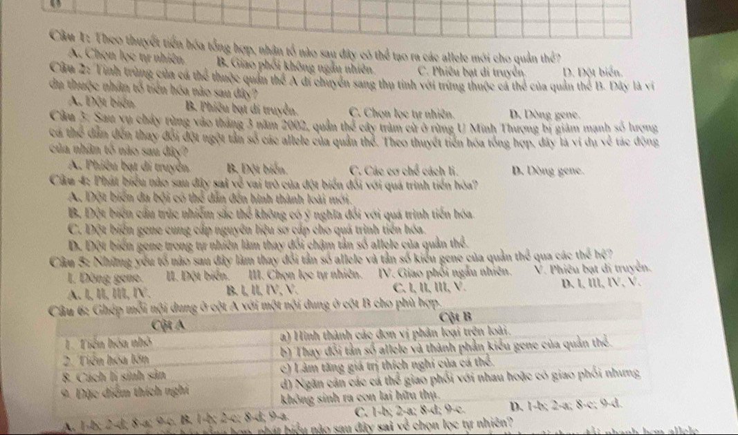 Theo thuyết tiến hóa tổng hợp, nhận tổ nào sau đây có thể tạo ra các allele mới cho quản thể?
A. Chọn lọc tự nhiên B. Giao phối không ngẫu nhiên C. Phiêu bạt di truyền D. Đột biển.
Cừu 2: Tinh trùng của cá thể thuộc quản thể A di chuyển sang thụ tinh với trừng thuộc cá thể của quản thể B. Dây là ví
du thuộc nhân tổ tiên hóa nào sau đây?
A. Đột biển B. Phiêu bạt di truyền. C. Chọn lọc tự nhiên. D. Dòng gene,
Câu 3. Sau vụ cháy rùng vào tháng 3 năm 2002, quân thể cây tràm cử ở rừng U Minh Thượng bị giám mạnh số hượng
có thể dâm đến thay đổi đột ngột tần số các allele của quân thể. Theo thuyết tiến hóa tổng hợp, đây là vi dụ về tác động
của nhân tố nào sau đây?
A. Phiêu bạt đi truyền B. Đột biến. C. Các cơ chế cách li. D. Dòng gene.
Cầu 4: Phát biểu nào sau đây sai về vai trò của đột biển đổi với quá trình tiến hòa?
A. Đột biến đa bội có thể dẫn đến hình thành loài mới.
B. Đột biển cầu trúc nhiễm sắc thể không có ý nghĩa đổi với quá trình tiến hóa.
C. Đột biển gene cung cấp nguyên liệu sơ cấp cho quá trình tiến hóa
D. Đột biển gene trong tự nhiên làm thay đổi chậm tân số allele của quản thể.
Câu 3: Những yếu tổ nào sau đây làm thay đổi tần số allele và tần số kiểu gene của quản thể qua các thed hệ?
I. Dòng gene. II. Đột biển. III. Chọn lọc tự nhiên. V. Giao phối ngẫu nhiên. Ý. Phiêu bạt di truyền.
A. l, Il, I, ⅣV. B. l, Ⅱ, IV, V. C, L, II, III, V. D. l, lll, IV, V.
ột nội dung ở cột B cho phù hợp.
_A. 1-b; 2-d; 8-
H thu hon phát biểu nào sau đây sai ve chọn lọc tự nhiê