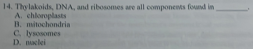 Thylakoids, DNA, and ribosomes are all components found in_

A. chloroplasts
B. mitochondria
C. lysosomes
D. nuclei