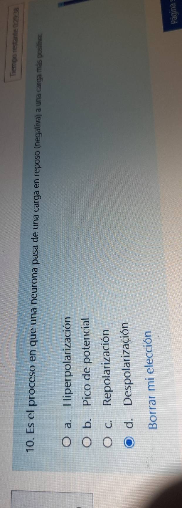 Tiempo restante 0:29:38
10. Es el proceso en que una neurona pasa de una carga en reposo (negativa) a una carga más positiva:
a. Hiperpolarización
b. Pico de potencial
c. Repolarización
d. Despolarización
Borrar mi elección
Página s