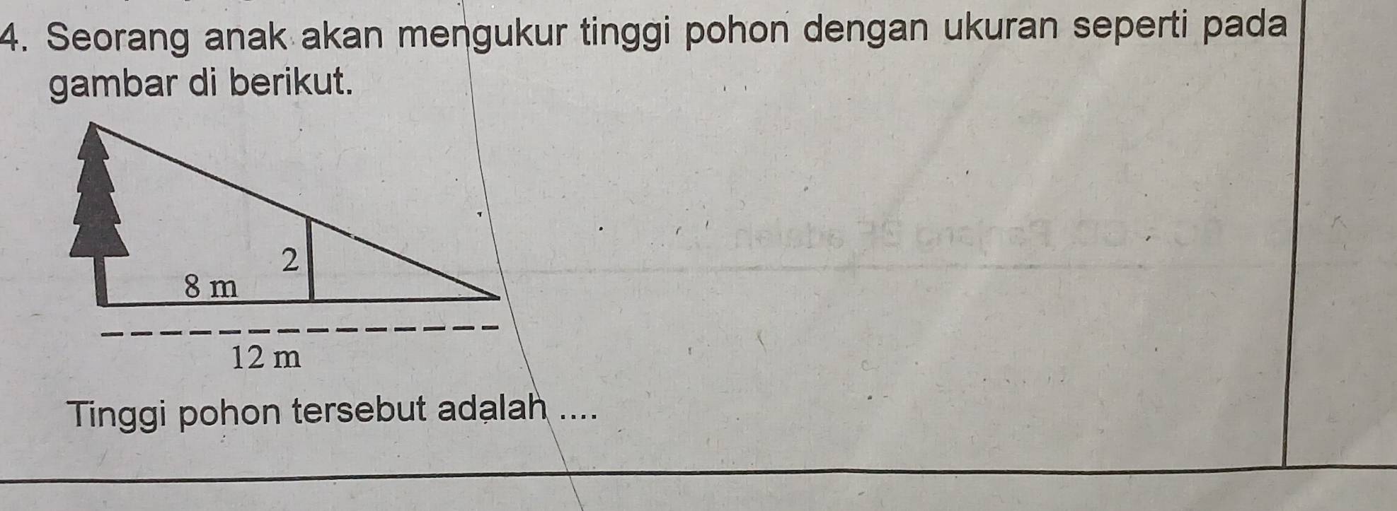 Seorang anak akan mengukur tinggi pohon dengan ukuran seperti pada 
gambar di berikut. 
Tinggi pohon tersebut adalah ....