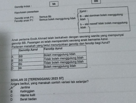 BB
bb
Genotip induk :
Keputusan pewarisan Kunci :
Genotip anak F1: Semua Bb
Fenotip anak F1 : Semua boleh menggulung lidah lidah B - alel dominan boleh menggulung
b - alei resesif tidak boleh menggulung
lidah
Anak pertama Encik Ahmad telah berkahwin dengan seorang wanita yang mempunyai
genotip BB. Pasangan ini telah memperolehi seorang anak bernama Azrul.
unjukkan genotip dan fenotip bagi Azrul?
SOALAN 32 [TERENGGANU 2023 S7]
Antara berikut, yang manakah contoh variasi tak selanjar?
Jantina
B Ketinggian
C , Warna kulit
D Berat badan