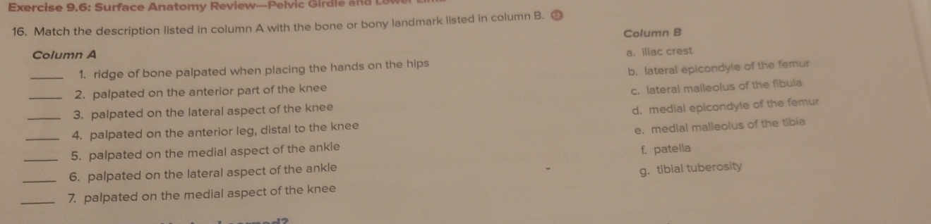 Exercise 9.6: Surface Anatomy Review--Pelvic Girdle and Lo
16. Match the description listed in column A with the bone or bony landmark listed in column B. ⑦
Column B
Column A
a. iliac crest
b. lateral epicondyle of the femur
_1. ridge of bone palpated when placing the hands on the hips
_2. palpated on the anterior part of the knee
c. lateral malleolus of the fibula
3. palpated on the lateral aspect of the knee
_4. palpated on the anterior leg, distal to the knee d. medial epicondyle of the femur
e. medial malleolus of the tibia
_5. palpated on the medial aspect of the ankle
f. patella
6. palpated on the lateral aspect of the ankle
_7. palpated on the medial aspect of the knee g. tibial tuberosity