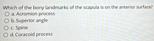 Which of the bony landmarks of the scapula is on the anterior surface?
a. Acromion process
b. Superior angle
c. Spine
d. Coracoid process