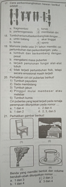 Cara perkembangbiakan hewan berikut
adalah ....
a. fragmentasi d membelah dir
b. partenogenesis c.tunas
18. Tumbuhan lumut berkembang biakdengan ....
a. umbi batang c. akar tinggal
b. tunas d. spora
19. Manusia pada usia 21 tahun memiliki ciri
pertumbuhan dan perkembangan, yaitu ....
a. tumbuh dan berkembang dengan
pesat
b. mengalami masa pubertas
c. terjadi penurunan fungsi alat-alat
tubuh
d.tidak terjadi pertumbuhan fisik, tetapi
secara emosional masih terjadi
20. Perhatikan ciri-ciri pubertas berikut!
1) Tumbuh payudara
2) Dada membidang
3) Tumbuh jakun
4) Pinggul mulai membesar atau
melebar
5) Tumbuh kumis
Ciri pubertas yang tepat terjadi pada remaja
perempuan ditunjukkan pada nomor ....
a. 1 dan 4 c. 2 dan 4
b. 1 dan 2 d. 2, 3, dan 5
21. Perhatikan gambar berikut!
(1) (3)
(4)
(2)
Benda yang memiliki bentuk dan volume
berubah-ubah ditunjukkan nomor .... c 2 dan 3
a. 1 dan 3
b. 1 dan 4 d. 3 dan 4