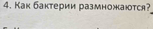 Как бактерии размножаюτся?