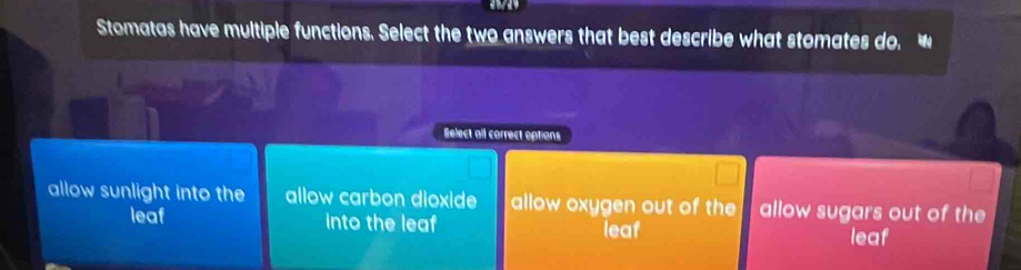 Stomatas have multiple functions. Select the two answers that best describe what stomates do, 
Select all correct options
allow sunlight into the allow carbon dioxide allow oxygen out of the allow sugars out of the
leaf into the leaf leaf leaf