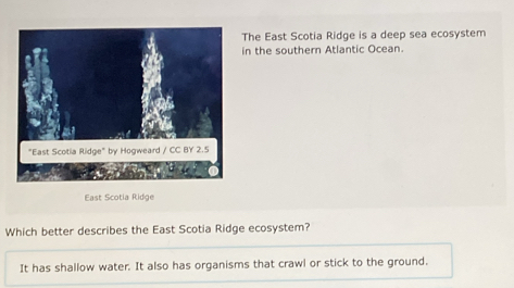 Solved: The East Scotia Ridge is a deep sea ecosystem in the southern ...