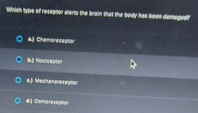 Which type of receptor alerts the brain that the body has been damaged?
a.) Chemoreceptor
b.) Nociceptor
c.) Mechanoreceptor
d.) Osmoreceptor