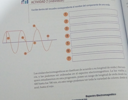 ACTIVIDAD 2 (individual) 
Escribe dentro del recuadro correspondiente el nombre del componente de una onda t 
r
1
②
3
4
5
6
7
Las ondas electromagnéticas se clasifican de acuerdo a su longitud de onda y frecuen- 
cia, y las podemos ver ordenadas en el espectro electromagnético. La luz visible, a 
quien estudiaremos en esta progresión, posee un rango de longitud de onda desde los
400 hasta los 700 nm, en este rango podemos ver toda la variedad de colores, desde el 
azul, hasta el rojo. 
Espectro Electromagnético