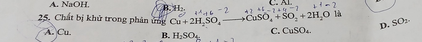 A. NaOH. C. Al.
3 H_2.
--2+
25. Chất bị khử trong phản ứng Cu+2H_2SO_4to CuSO_4+SO_2+2H_2O
là
D. SO_2.
A. C_L 1 C. CuSO_4.
B. H_2SO_4 :