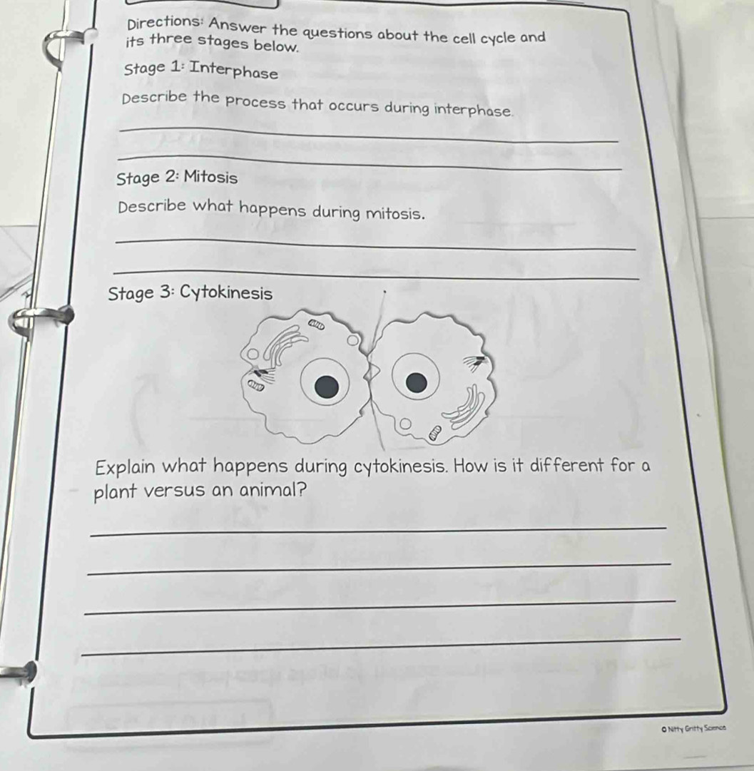 Directions: Answer the questions about the cell cycle and 
its three stages below. 
Stage 1: Interphase 
_ 
Describe the process that occurs during interphase. 
_ 
Stage 2: Mitosis 
Describe what happens during mitosis. 
_ 
_ 
Stage 3: Cytokinesis 
Explain what happens during cytokinesis. How is it different for a 
plant versus an animal? 
_ 
_ 
_ 
_ 
O Nitty Gritty Science