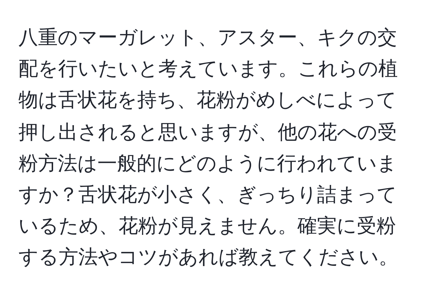 八重のマーガレット、アスター、キクの交配を行いたいと考えています。これらの植物は舌状花を持ち、花粉がめしべによって押し出されると思いますが、他の花への受粉方法は一般的にどのように行われていますか？舌状花が小さく、ぎっちり詰まっているため、花粉が見えません。確実に受粉する方法やコツがあれば教えてください。