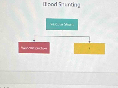 Blood Shunting