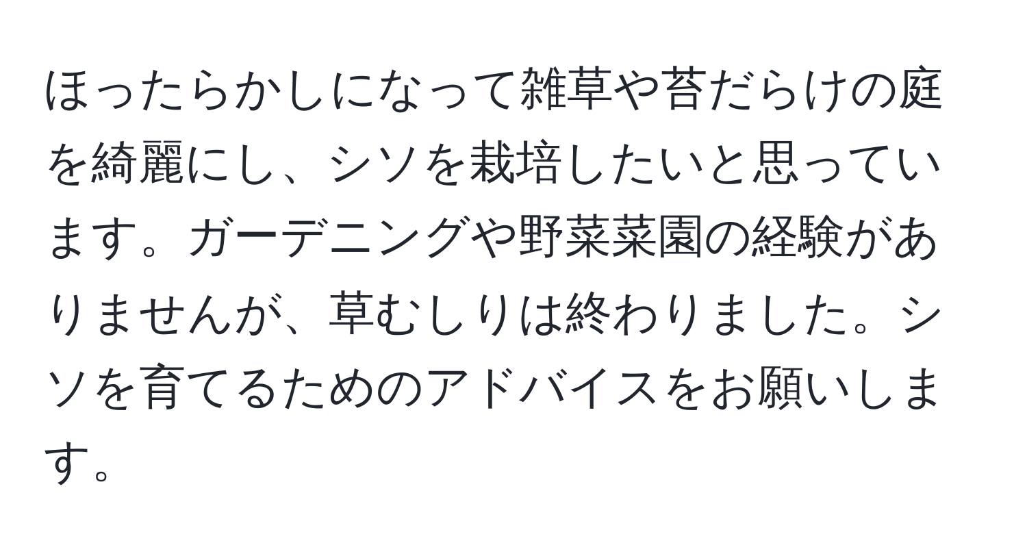 ほったらかしになって雑草や苔だらけの庭を綺麗にし、シソを栽培したいと思っています。ガーデニングや野菜菜園の経験がありませんが、草むしりは終わりました。シソを育てるためのアドバイスをお願いします。