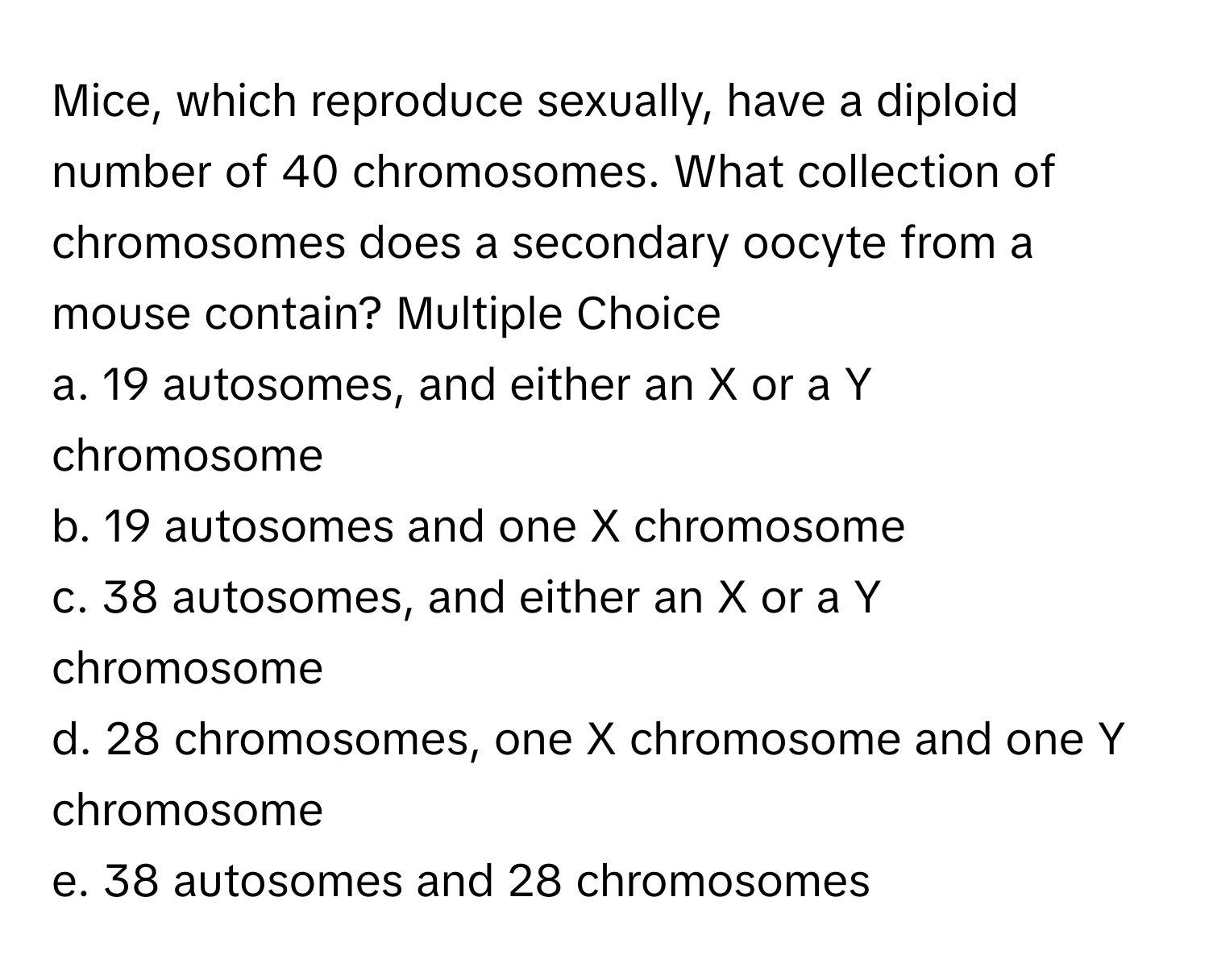 Mice, which reproduce sexually, have a diploid number of 40 chromosomes. What collection of chromosomes does a secondary oocyte from a mouse contain? Multiple Choice

a. 19 autosomes, and either an X or a Y chromosome
b. 19 autosomes and one X chromosome
c. 38 autosomes, and either an X or a Y chromosome
d. 28 chromosomes, one X chromosome and one Y chromosome
e. 38 autosomes and 28 chromosomes