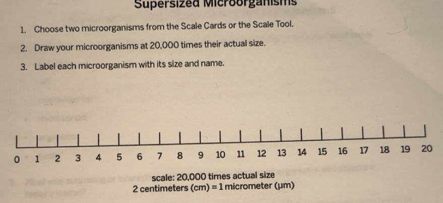 Solved: Supersized Microorganisms 1. Choose two microorganisms from the ...
