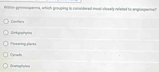 Within gymnosperms, which grouping is considered most closely related to angiosperms?
Conifers
Ginkgophytes
Flowering plants
Cycads
Gnetophytes