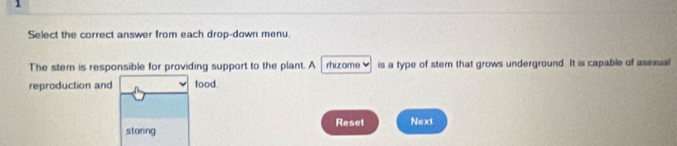 Select the correct answer from each drop-down menu 
The stem is responsible for providing support to the plant. A rhizome♥ is a type of stem that grows underground. It is capable of assxual 
reproduction and food. 
storing Reset Next