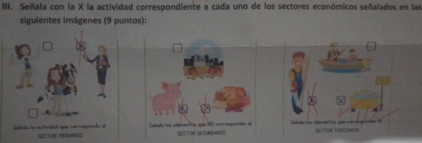 Señala con la X la actividad correspondiente a cada uno de los sectores económicos señalados en las 
siguientes imágenes (9 puntos): 
Señala la actividad que corresponda al 
SECTOR PRIMARIO