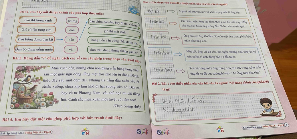 Các đoạn văn dưới đây thuộc phần nào của bài văn tả người?
Người mã em yêu quý và kính trọng nhất là ông nội.
Bài 2. Em hãy nối để tạo thành câu phù hợp theo mẫu:
Cứ chiều đến, ông lại dành thời gian để tưới cây. Mẫy
Trời thì trong xanh nhưng đàn chim đáo đác bay đi tìm chỗ trú cây na, cây bưới ông trồng đều đã lớn và sai trĩu quá.
Gió rít lên từng cơn còn gió thì mát lành
Ông nội em đẹp lão lầm. Khuôn mặt ông tròn, phúc hậu,
Trời bổng dưng đen kịt nên hàng liễu vẫn vững chãi đứng im. nhìn như ông tiên.
Đàn bỏ đang uống nước và đàn trâu đang thung thăng gặm có. Mỗi tối, ông lại kể cho em nghe những câu chuyện về
Bài 3. Dùng đấu “/” đế ngăn cách các về của câu ghép trong đoạn văn dưới đây:  các chiến sĩ anh dũng bảo vệ đất nước.
Mùa xuân đến, những chồi non đang e ấp bỗng bừng tiỉnh Tóc và lông mày ông trắng xoá, trẻ em trong xóm thấy
sau một giắc ngủ đông. Ông mặt trời nhô lên từ đẳng Đông, ông từ xa đã vui sướng hò reo: “'A! Ông tiên đến rồi!”.
thức dậy sau một đêm dài. Những tia nắng đầu xuân yếu ớt
chiếu xuống, chưa kịp làm khô đi hạt sương trên cỏ. Đàn én Bài 2. Bài 1 còn thiếu phần nào của bài văn tả người? Nội dung chính của phần đó
là gì?
bay về từ Phương Nam, vài chú họa mi cất tiếng
hót. Cảnh sắc mùa xuân mới tuyệt vời làm sao! 2
(Theo Giang Anh)
Bài 4. Em hãy đặt một câu ghép phù hợp với bức tranh dưới đây:
Bài tập hàng ngày Tiếng Việt 5 - Tập 2( 5
Bài tập hàng ngày Tiếng Việt 5 - Tập 2