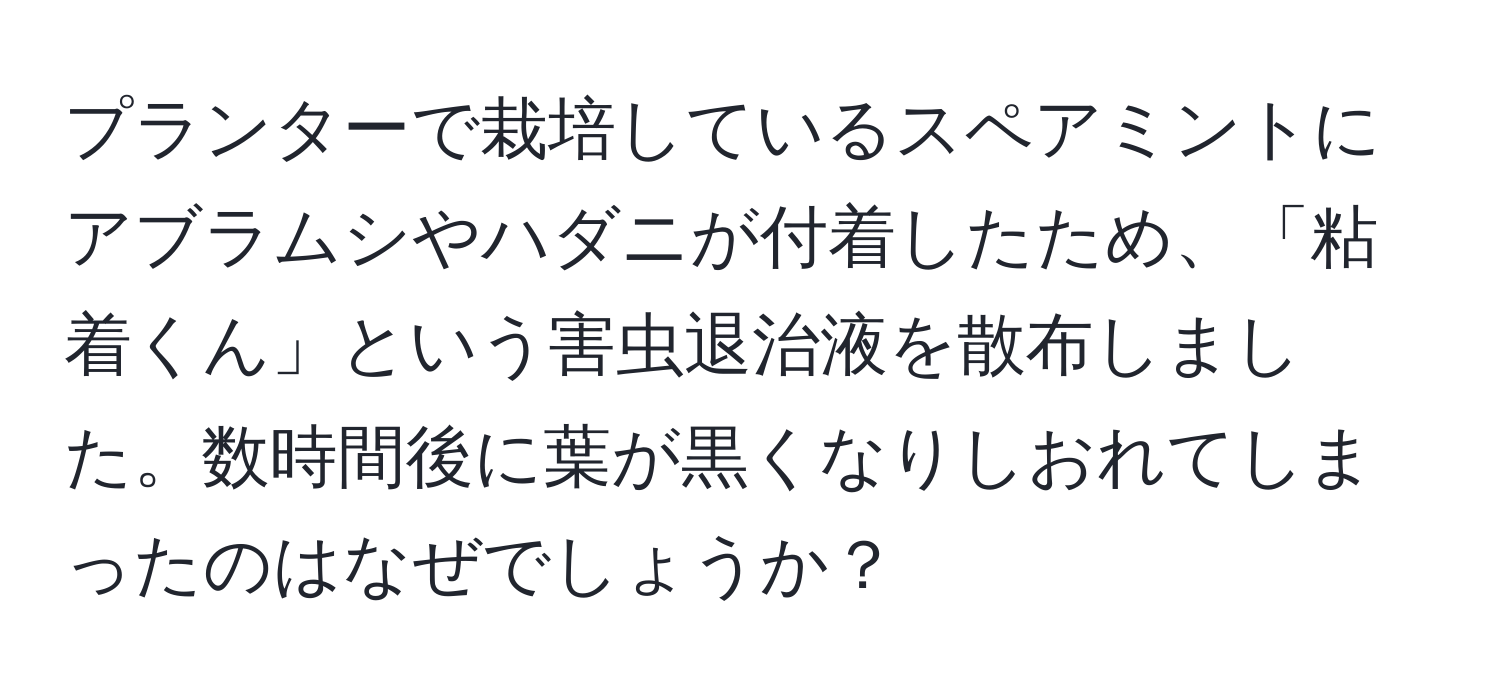 プランターで栽培しているスペアミントにアブラムシやハダニが付着したため、「粘着くん」という害虫退治液を散布しました。数時間後に葉が黒くなりしおれてしまったのはなぜでしょうか？