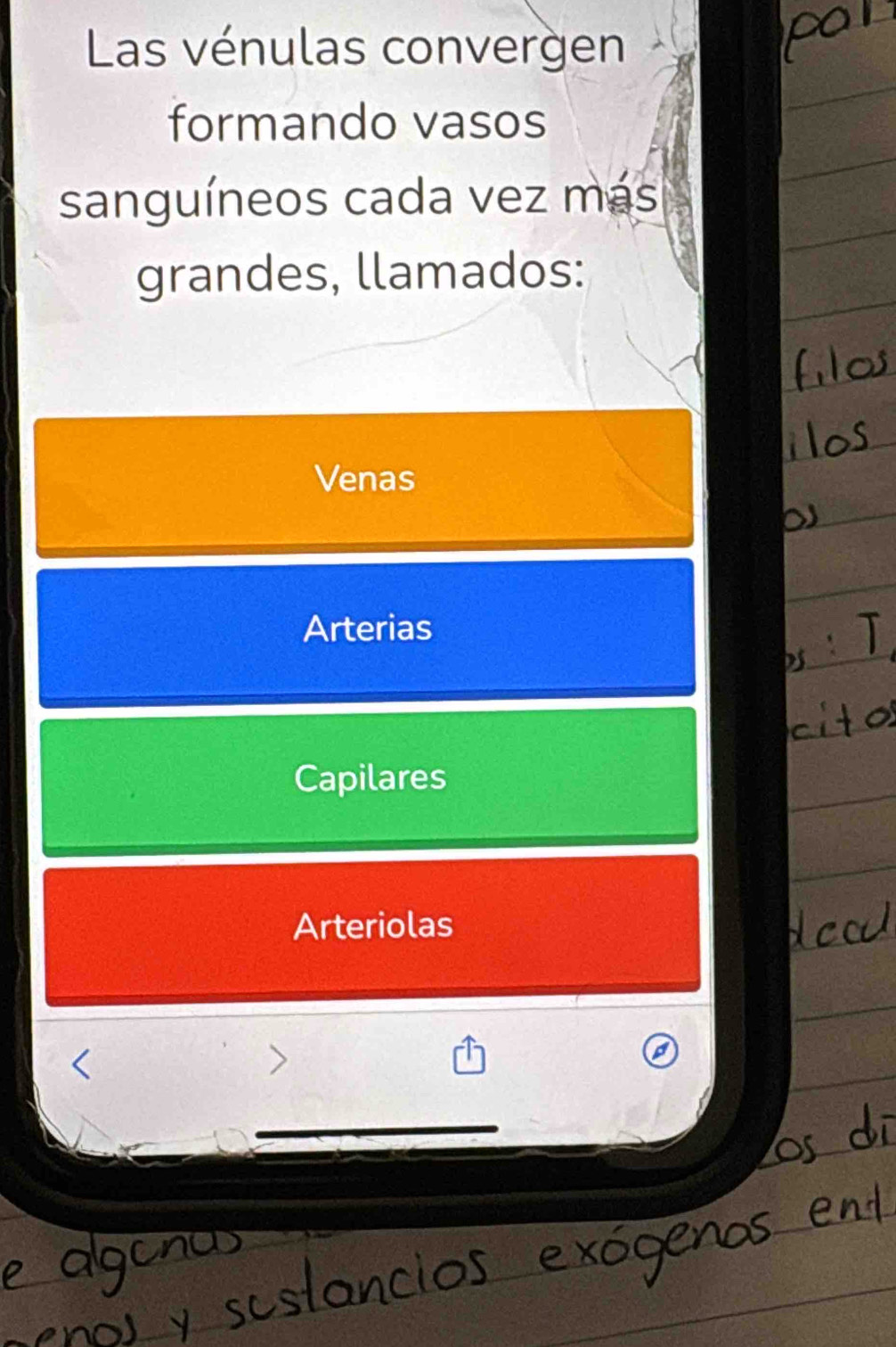 Las vénulas convergen
formando vasos
sanguíneos cada vez más
grandes, llamados:
Venas
Arterias
Capilares
Arteriolas
>