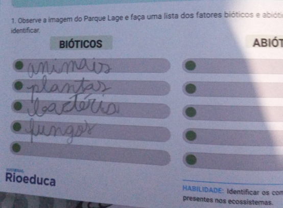 Observe a imagem do Parque Lage e faça uma lista dos fatores bióticos e abióti 
identificar. 
bióticos ABIóT 
h 
Rioeduca HABILIDADE: Identificar os com 
presentes nos ecossistemas.