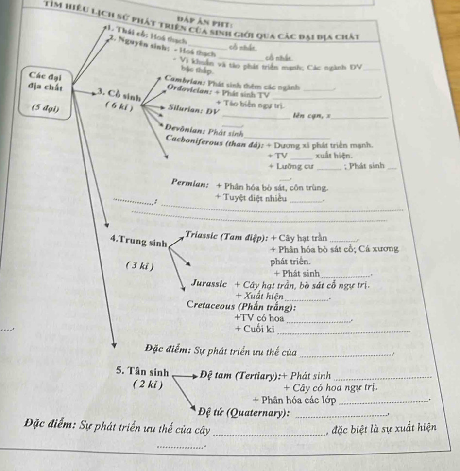 Đáp ân phi: 
Tỉm hiệu lịch sử phát triện của sinh giới qua các đại bịa chất 
1 Thái cổ: Hoá thạch 
cổ nhất 
2. Nguyên sinh: - Hoá thạch _cổ nhất 
- Vi khuân và tào phát triển mạnh; Các ngành DV_ 
bậc thập. 
Cambrian: Phát sinh thêm các ngành . 
Các đại Ordovician: + Phát sinh TV 
địa chất 3. Cổ sinh + Táo biển ngự trị 
(5 dại) 
( 6 ki ) Silurian: DV 
_lên cạn, x_ 
Devônian: Phát sinh 
Cachoniferous (than đá): + Dương xỉ phát triển mạnh. 
+TV _xuất hiện. 
+ Lưỡng cư _; Phát sinh_ 
Permian: + Phân hóa bò sát, côn trùng. 
_ 
_ 
: 
+ Tuyệt diệt nhiều_ 
_ 
_ 
Triassic (Tam điệp): + Cây hạt trần _, 
4.Trung sinh 
+ Phân hóa bò sát cổ; Cá xương 
( 3 ki ) 
phát triển. 
+ Phát sinh_ 
. 
Jurassic + Cây hạt trần, bò sát cổ ngự trị. 
+ Xuất hiện_ ,. 
Cretaceous (Phấn trắng): 
+TV có hoa_ 
+ Cuối ki_ 
Đặc điểm: Sự phát triển ưu thế của _: 
5. Tân sinh _Đệ tam (Tertiary):+ Phát sinh_ 
(2 ki ) 
+ Cây có hoa ngự trị. 
+ Phân hóa các lớp_ 
. 
Đệ tứ (Quaternary):_ 
' 
Đặc điểm: Sự phát triển ưu thế của cây_ , đặc biệt là sự xuất hiện 
_ 
_ 
_ 
_.