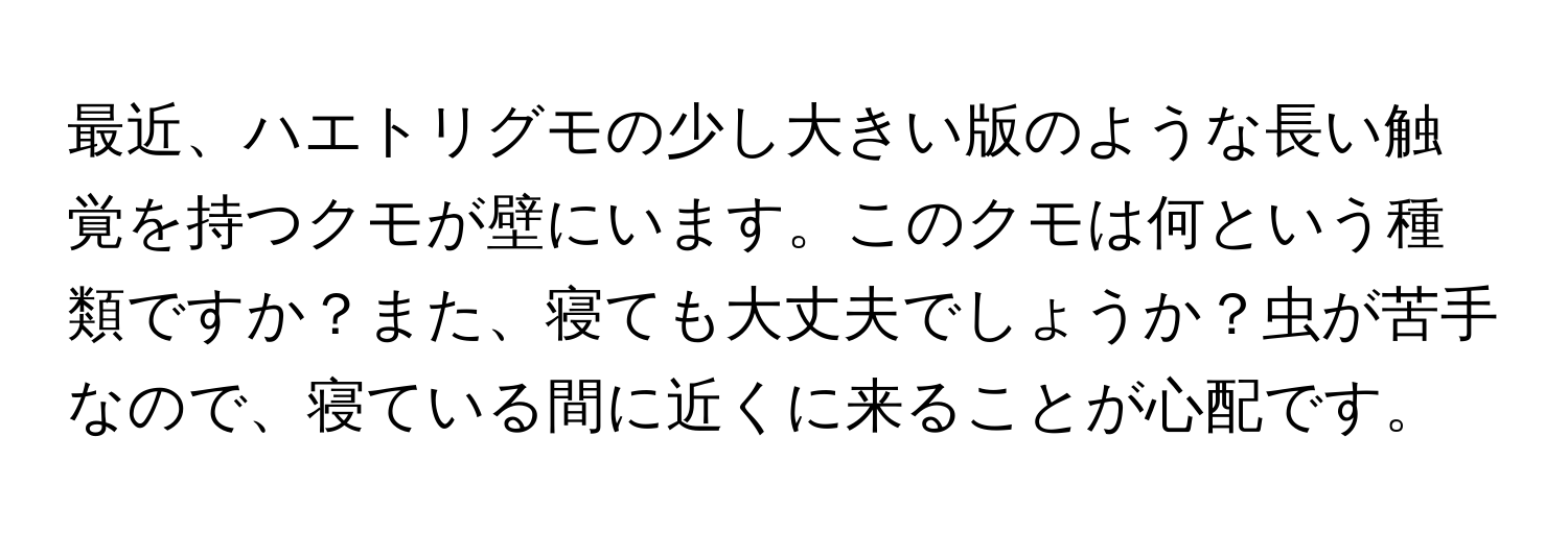 最近、ハエトリグモの少し大きい版のような長い触覚を持つクモが壁にいます。このクモは何という種類ですか？また、寝ても大丈夫でしょうか？虫が苦手なので、寝ている間に近くに来ることが心配です。