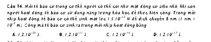 Mỗi tế bào cơ trong cơ thể người có thể coi như một động cơ siêu nhỏ, khi con
người hoạt động, tế bào cơ sử dụng năng lương hóa học để thực hiện công. Trong mỗi
nhịp hoạt động, tế bào cơ có thể sinh một lực 1,5.10^(-12)N đề dịch chuyền 8 nm (/nm=
10^(-4)m) ). Công mà tế bào cơ sinh ra trong mỗi nhịp hoạt động bằng
A. 1,2.10^(-20)). B. 1,2.10^(-11)). C. 1,2.10^(-14)). D. 1,2.10^(-17)).