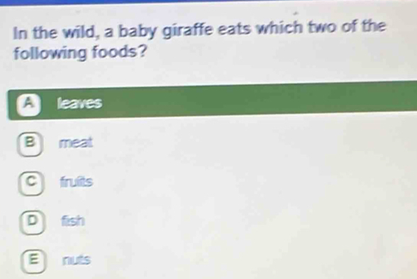 In the wild, a baby giraffe eats which two of the
following foods?
A leaves
B meat
C fruits
D fish
Enuts